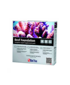 Red Sea Reef Foundation ABC