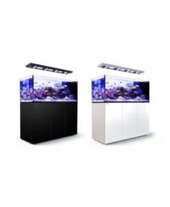 Red Sea Reefer Peninsula 500 Deluxe G2+