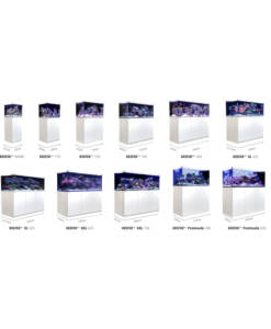 Alternative view of Red Sea Reefer Peninsula 500 Deluxe G2+