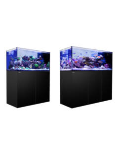 Red Sea Reefer Peninsula 500 G2+