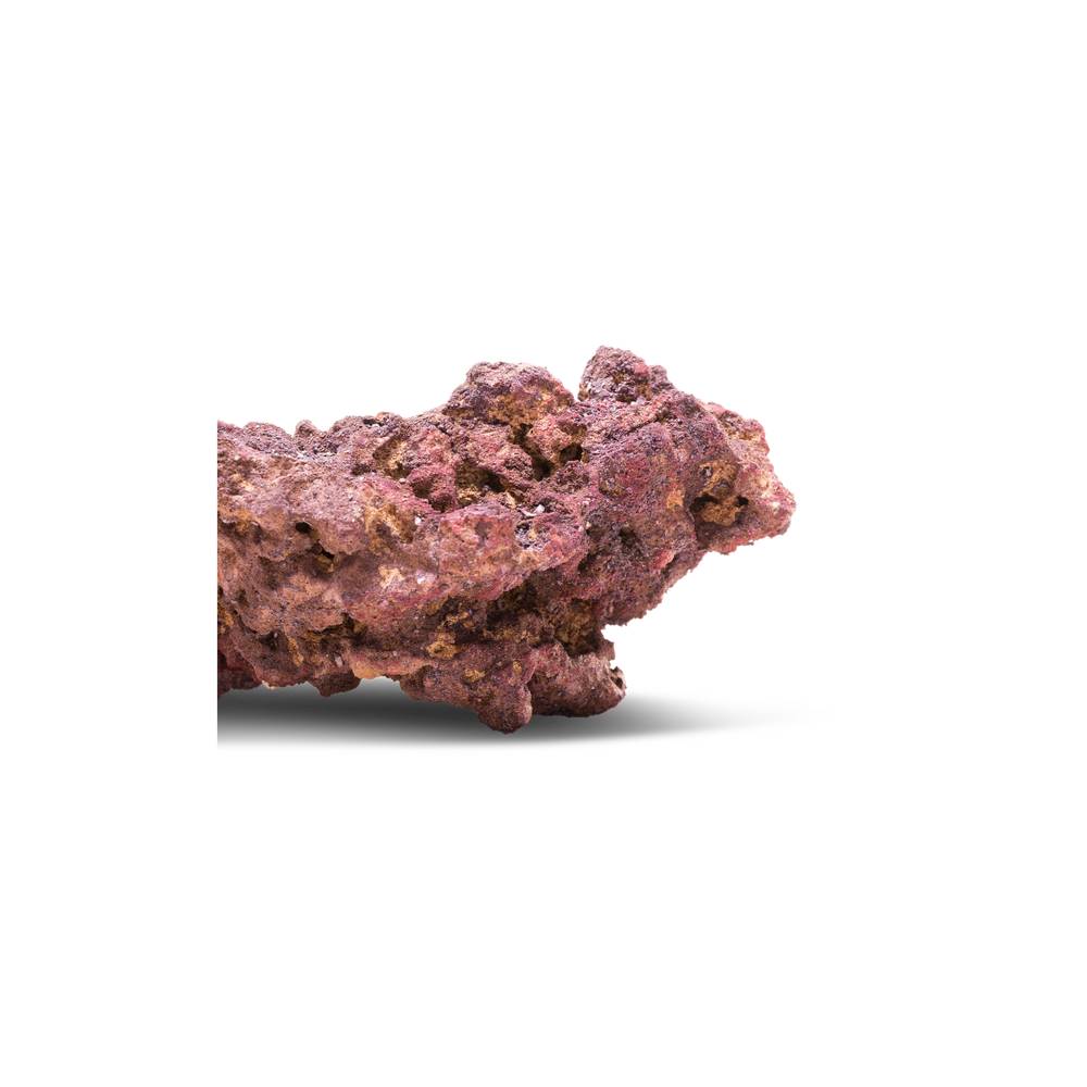 CaribSea LifeRock Original – Bild 5