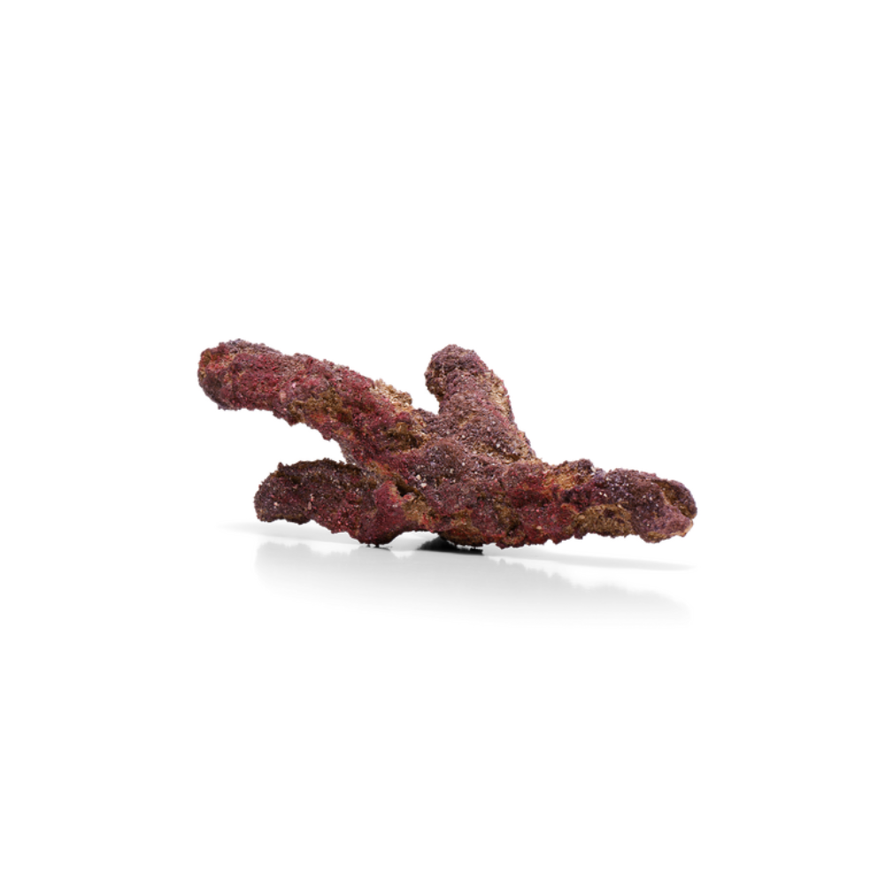 CaribSea LifeRock Belize Branch 9,07 kg – Bild 2