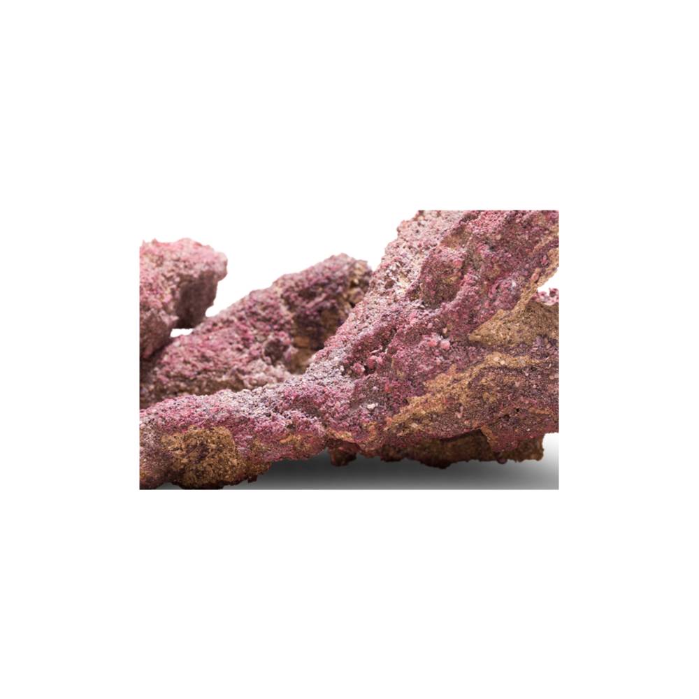 CaribSea LifeRock Belize Branch 9,07 kg – Bild 6
