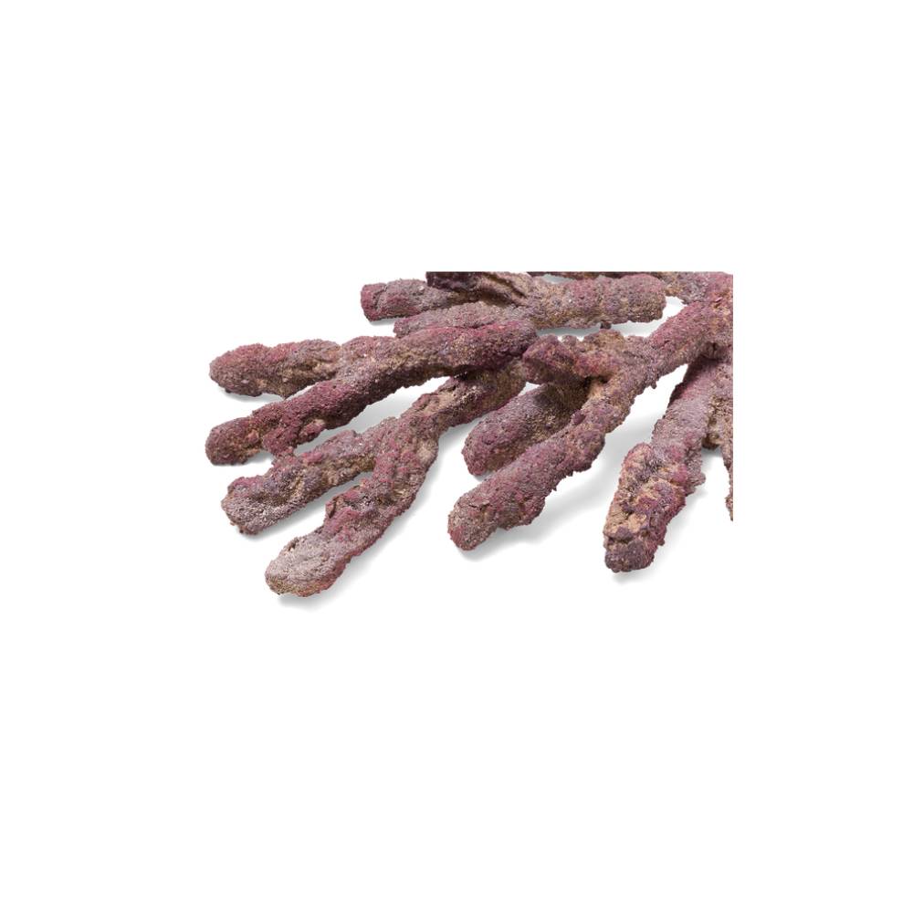 CaribSea LifeRock Belize Branch 9,07 kg – Bild 7