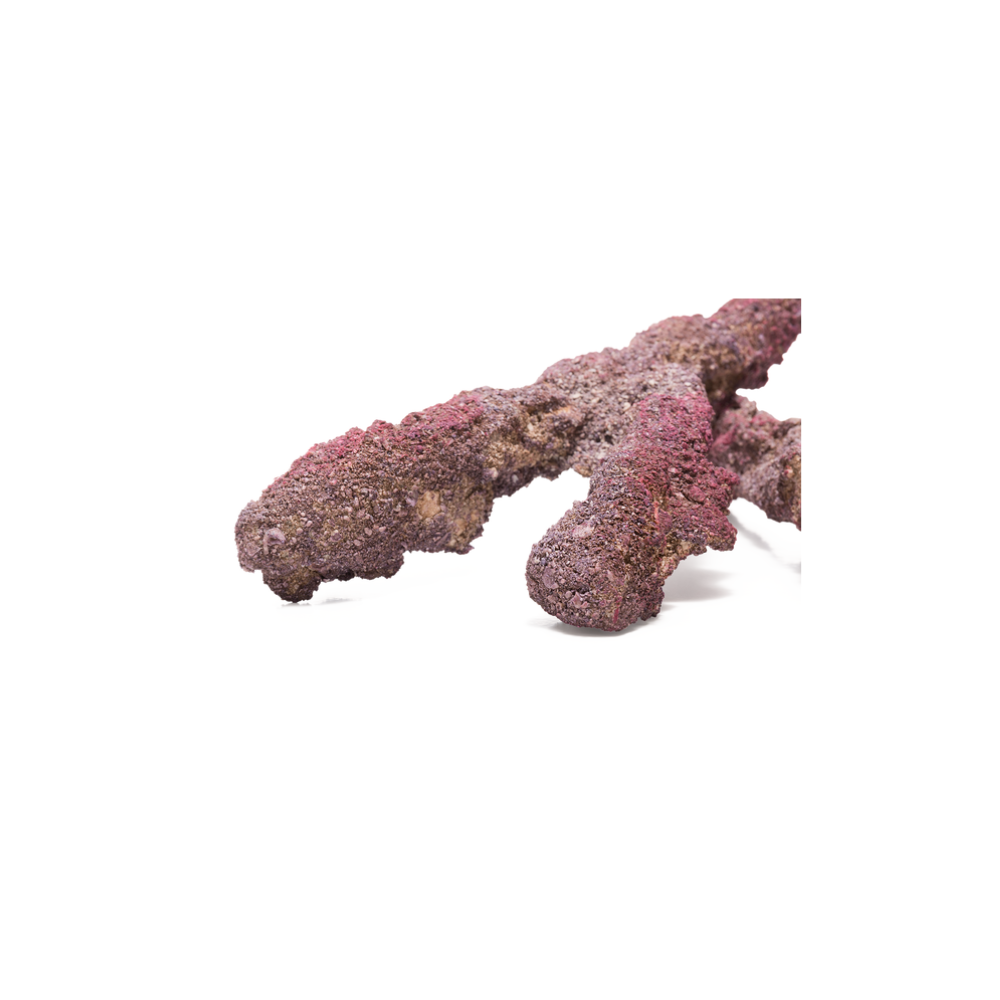 CaribSea LifeRock Belize Branch 9,07 kg – Bild 9