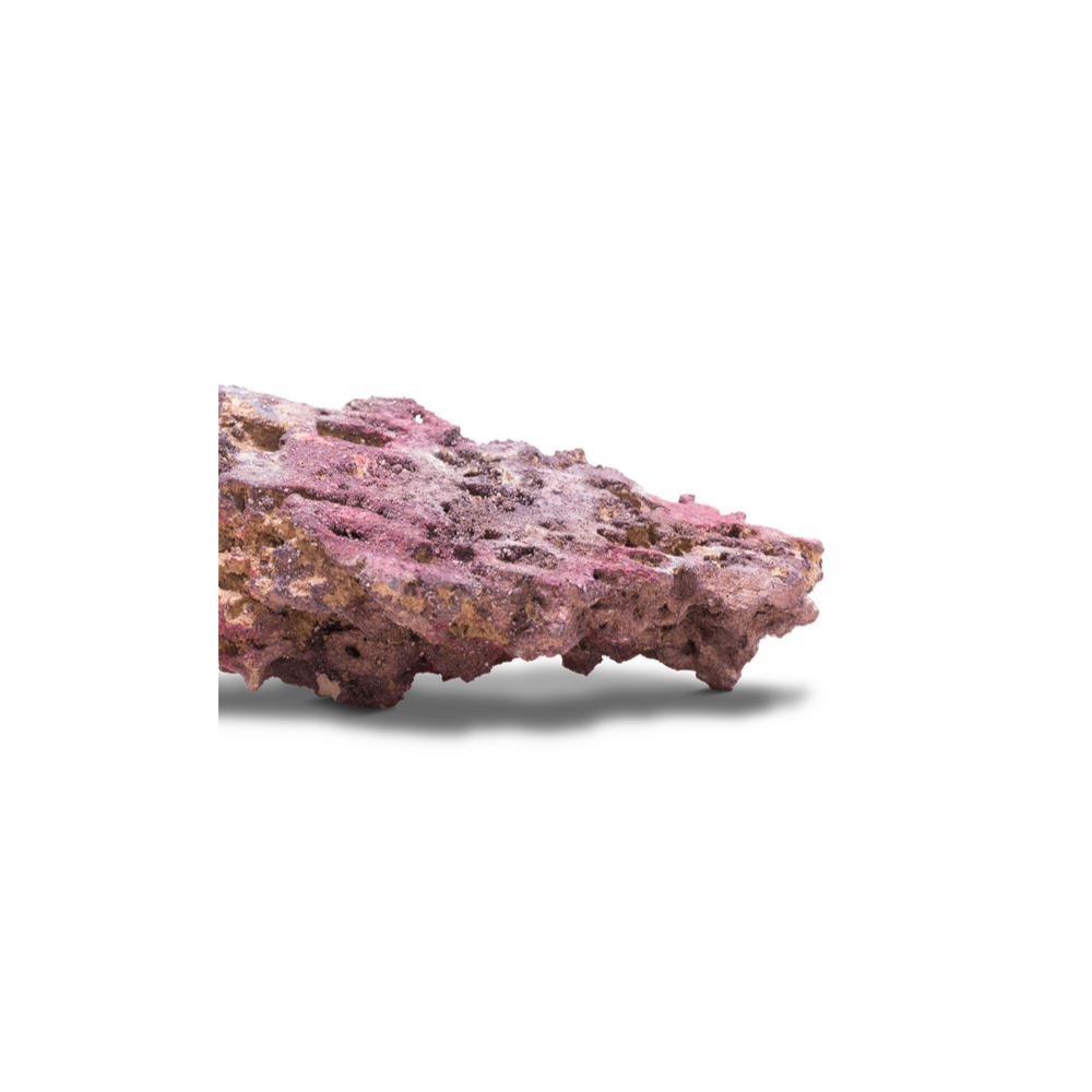 CaribSea LifeRock Shelf Rock 18,14 kg – Bild 10