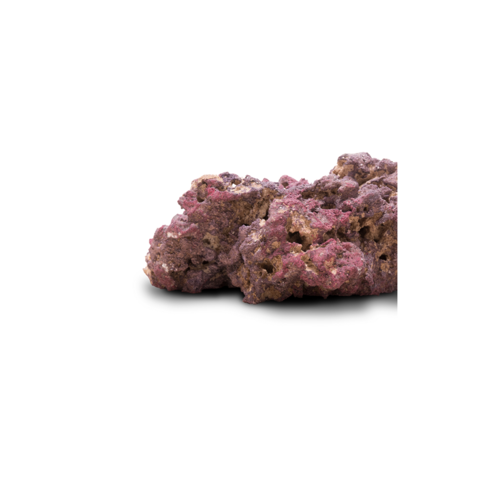 CaribSea LifeRock Shelf Rock 18,14 kg – Bild 9