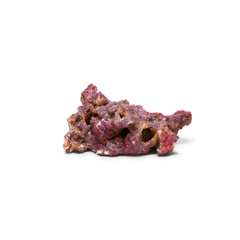 CaribSea LifeRock Shelf Rock 18,14 kg – Bild 6