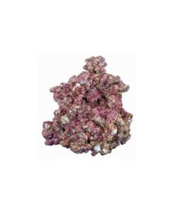Real Reef Rock Mix 1 Kilo