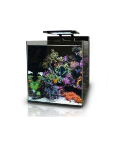 BlueMarine Reef 60 Aquarium