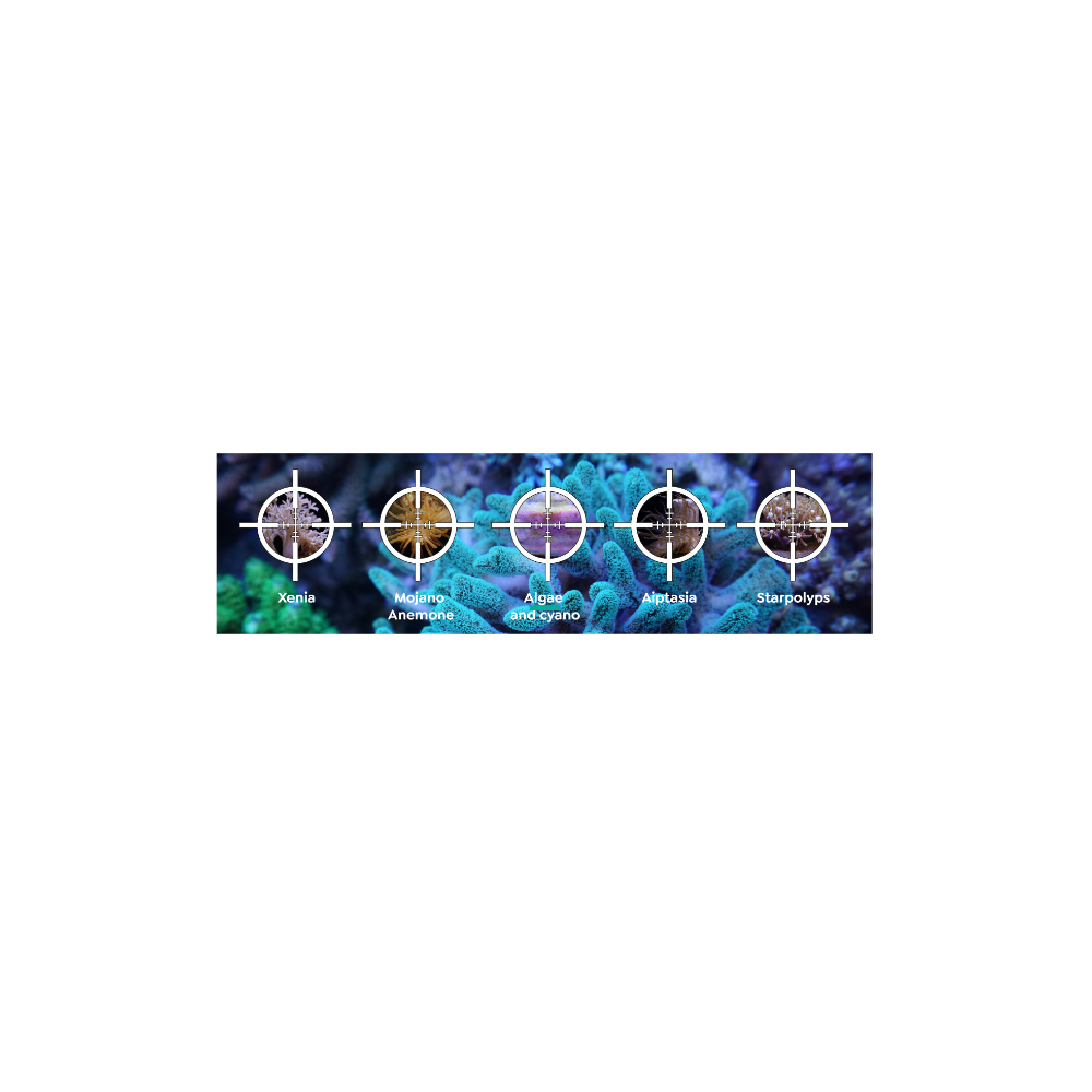 ITC Reef Delete - UV-C Pest Control Light – Bild 4