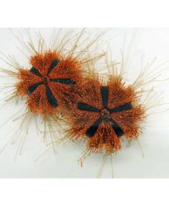 Mespilia globulus (Kugel-Seeigel) Nachzucht