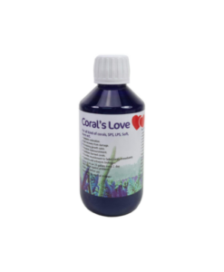 Korallen-Zucht Coral´s Love