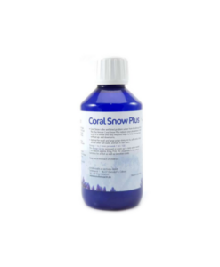 Korallen-Zucht Coral Snow
