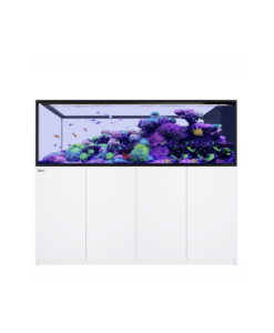 Red Sea REEFER Peninsula G2+ 950 System, Raumteiler, Schwarz und Weiß
