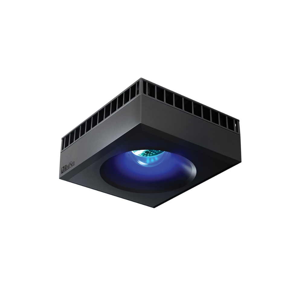 Red Sea Reefer MAX Peninsula 700 G2+ System, Raumteiler Schwarz und Weiß – Bild 6