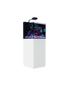 Alternative view of Red Sea MAX NANO G2 XL  inkl. Unterschrank in weiss und schwarz