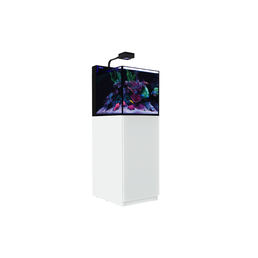 Red Sea MAX NANO G2 XL inkl. Unterschrank in weiss und schwarz – Bild 2