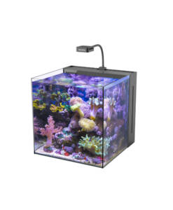 Aqua Medic Meerwasser-Komplettbecken - Yasha 60