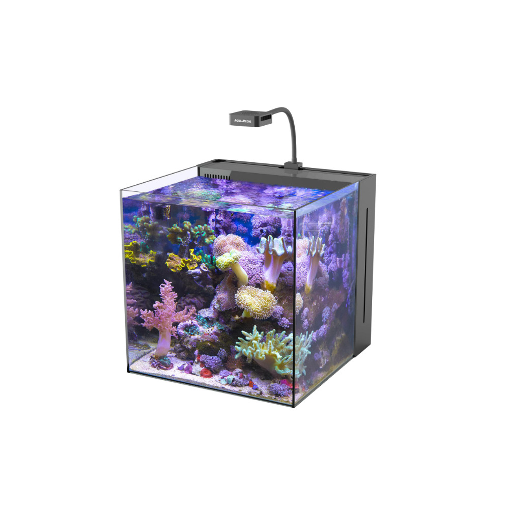 Aqua Medic Meerwasser-Komplettbecken - Yasha 60