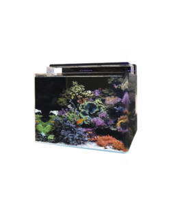 Blue Marin Reef 120