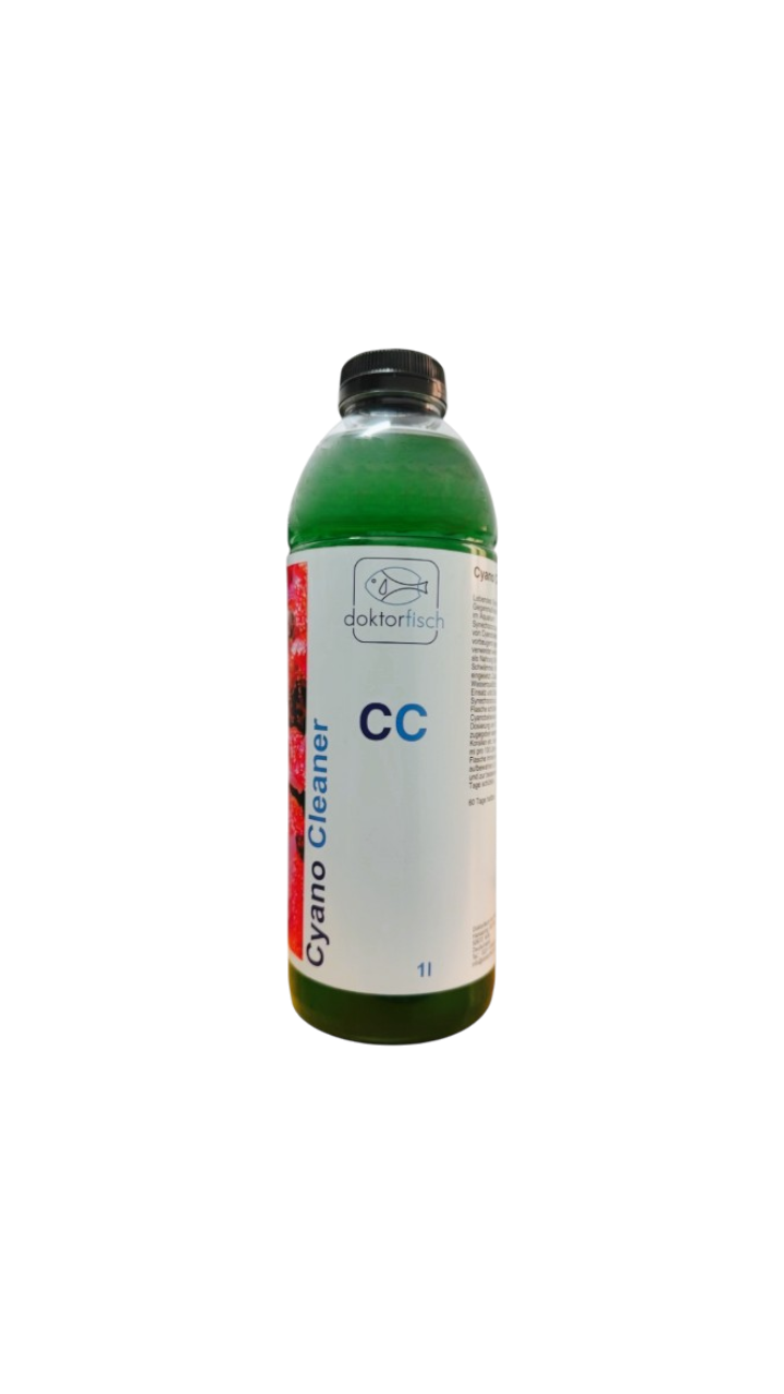 Doktorfisch Cyano Cleaner