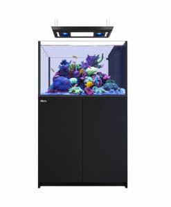 Alternative view of Red Sea REEFER MAX Peninsula G3 350