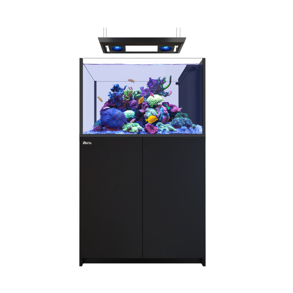 Red Sea REEFER Peninsula G3 350 Deluxe System – Bild 2