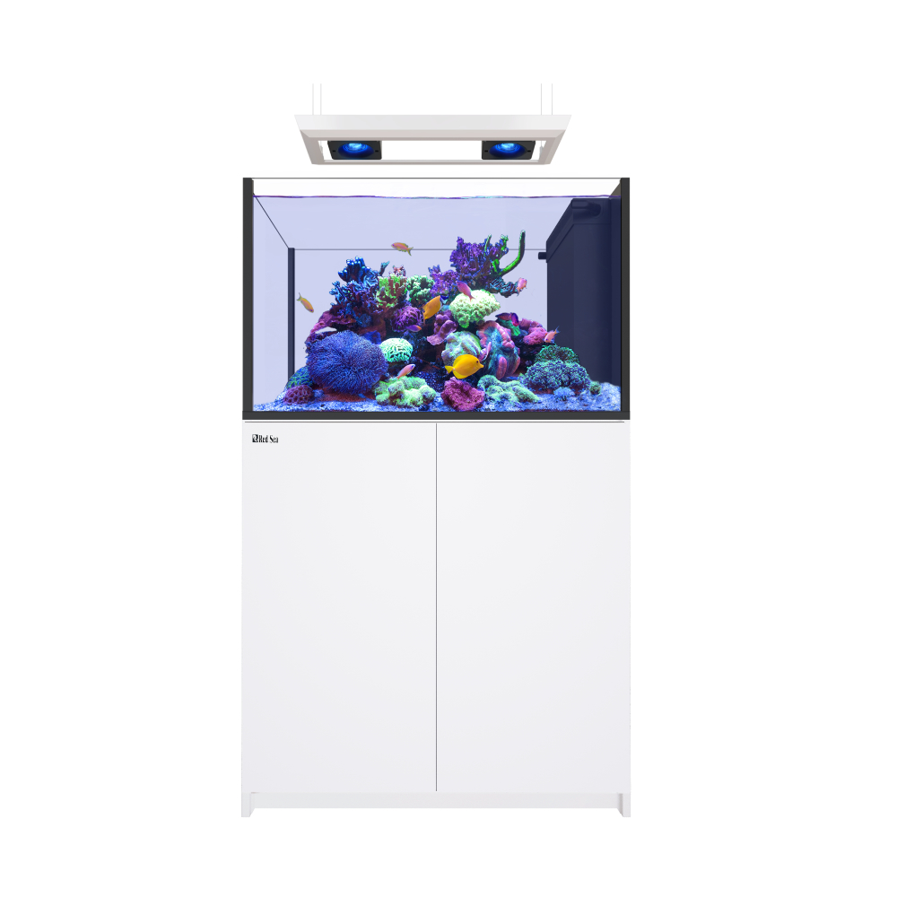 Red Sea REEFER MAX Peninsula G3 350