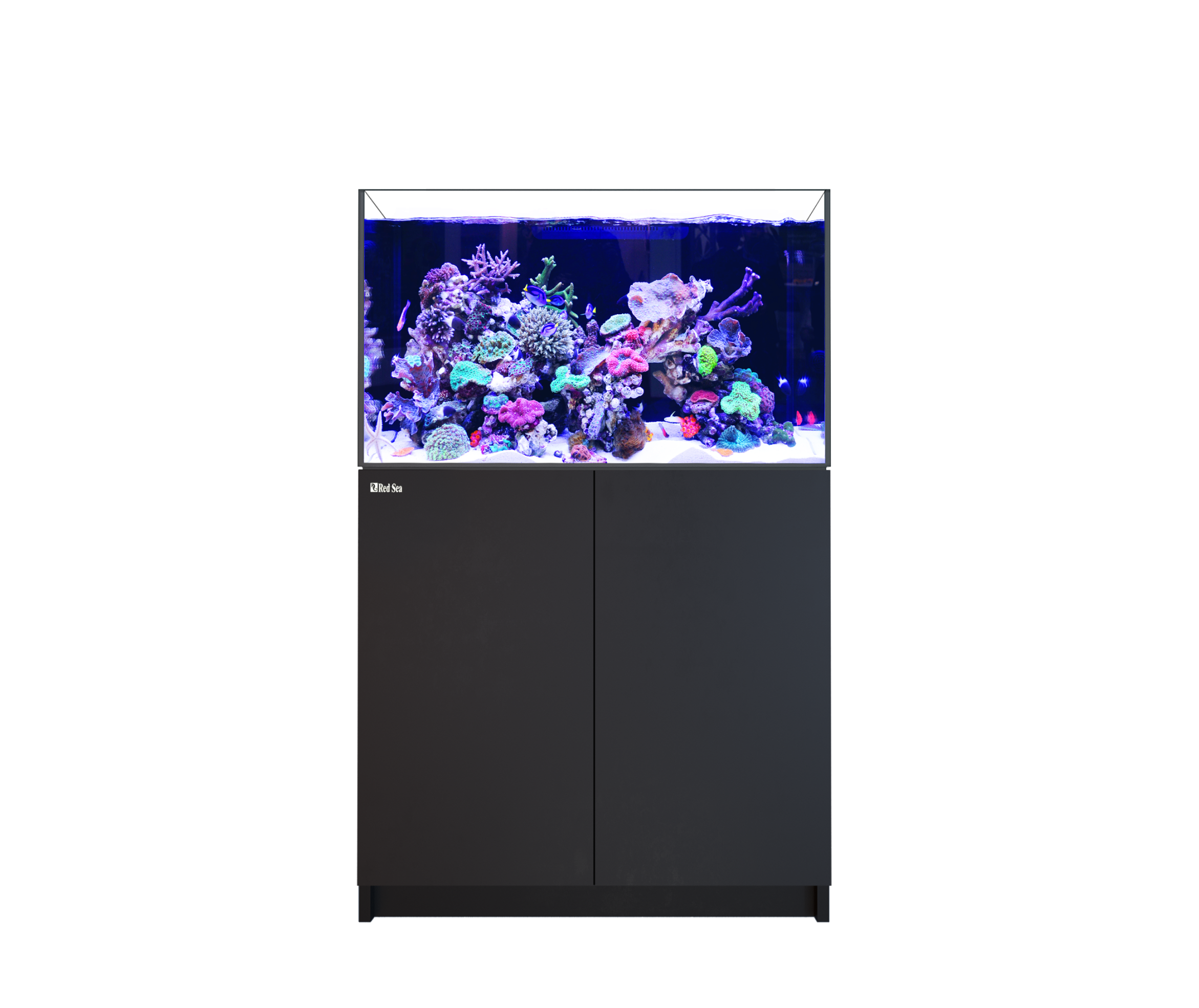 Red Sea REEFER 300 G3 – Bild 2