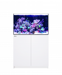 Red Sea REEFER 300 G3
