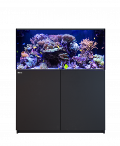 Alternative view of Red Sea REEFER 425 G3