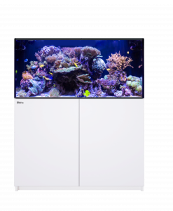 Red Sea REEFER 425 G3