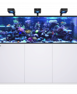 Red Sea REEFER MAX 750 G3