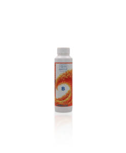 Doktorfisch Additive Bor