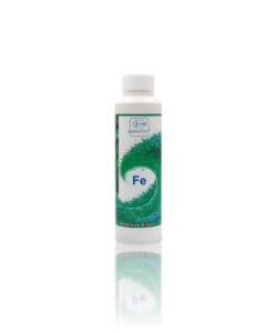 Doktorfisch Additive Eisen