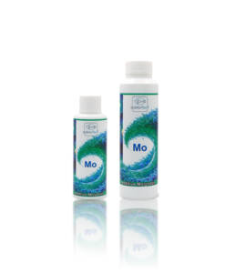 Doktorfisch Additive Molybdän