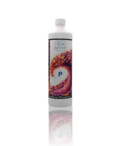 Doktorfisch Additive Phosphat
