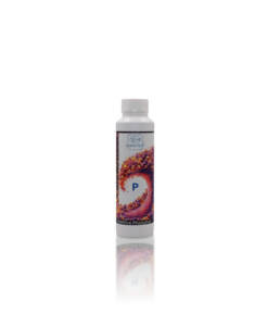 Doktorfisch Additive Phosphat